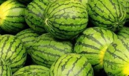 吃瓜網官網免費觀看 吃瓜網官網,免費觀看，暢享娛樂盛宴