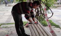 新瓜最新爆料長椅視頻,長椅視頻揭示驚人真相