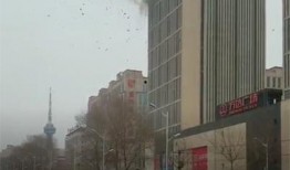 石家莊公寓爆料案件最新,揭秘驚人真相與后續發展