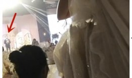 嘴哥最新爆料結婚,明星夫妻甜蜜大婚，浪漫瞬間引網友熱議