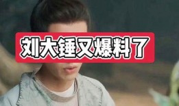 娛樂爆料大錘視頻大全最新