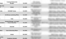 p5x最新爆料2.1,性能再升級，功能大揭秘！