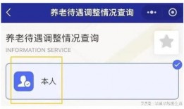 養老金最新爆料信息查詢,揭秘最新爆料背后的政策調整與影響