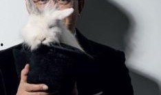 卓偉最新爆料明星戀情,明星戀情再掀波瀾，神秘對象引熱議