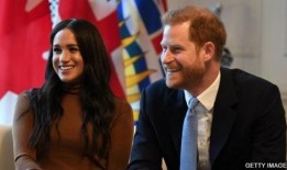 王室最新爆料視頻大全,最新爆料視頻大全深度解析