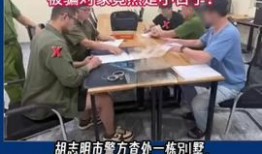 詐騙最新爆料新聞視頻播放,視頻曝光驚心動(dòng)魄，警惕陷阱防范未然