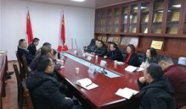 儀隴金城最新爆料,揭秘神秘項目背后的驚人真相