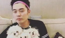 陳赫曹璐最新爆料,揭秘娛樂圈背后的驚人真相