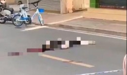 汕頭金平區爆料事件最新,真相與爭議交織的社區風云