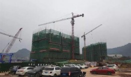 云城最新爆料,揭秘神秘項目背后的驚人真相