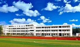 瀏陽新弘學校爆料案件最新,真相揭開，校園安全再引關注