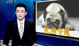 呼死狗最新爆料,揭秘網絡騷擾黑幕