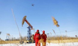 大慶油田爆料最新消息,重大發(fā)現(xiàn)或?qū)⒏膶懳覈?guó)能源格局