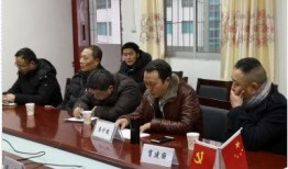 儀隴金城最新爆料,揭秘神秘項目背后的驚人真相