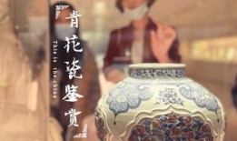 南北cp最新動態爆料,最新動態揭秘甜蜜瞬間