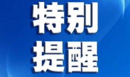 深圳爆料最新新聞消息視頻,視頻揭示城市動態(tài)與熱點事件