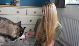 狗狗最新爆料視頻,揭秘寵物界的秘密生活