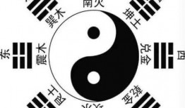 大蒙子最新八卦爆料,娛樂圈風云再起，幕后真相曝光！