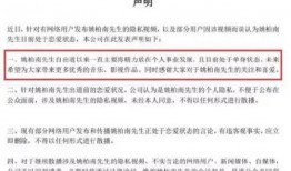新瓜最新爆料內娛官網,內娛官網驚現獨家猛料，揭秘娛樂圈幕后真相
