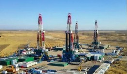 大慶油田爆料最新消息,重大發(fā)現(xiàn)或?qū)⒏膶懳覈?guó)能源格局