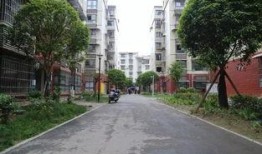 城南小區(qū)最新爆料,揭秘神秘事件背后的真相