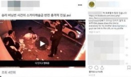 夜店最新爆料視頻大全集,最新爆料視頻大全集深度解析